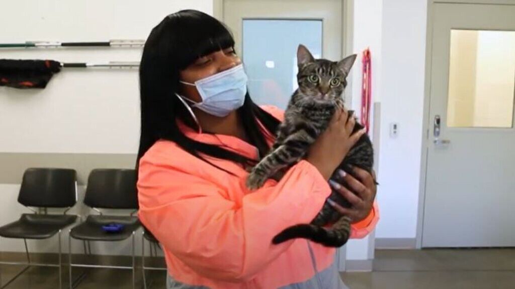 Owner reunited with lost cat 5 months after house fire
